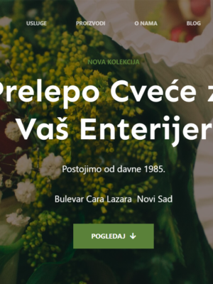 Landing page 001