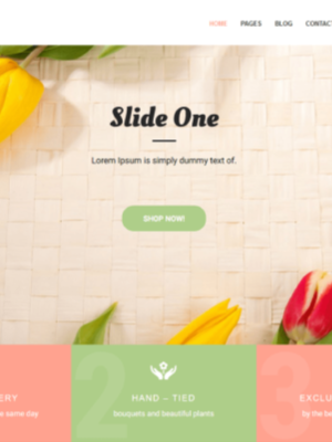 Landing page 003