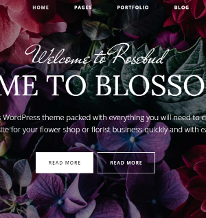 Landing page 004