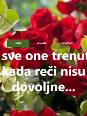 Landing page 002