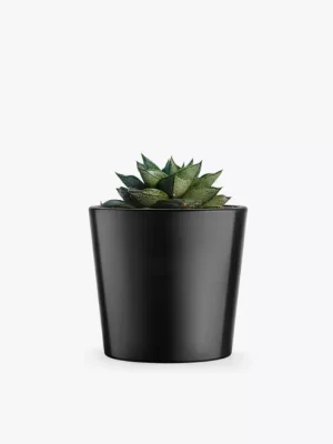 product-image-3_optimized Augue Neque