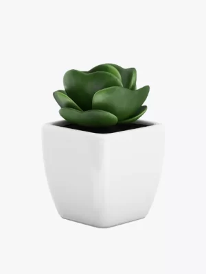 product-image-9_optimized Sollicitudin Aliquam